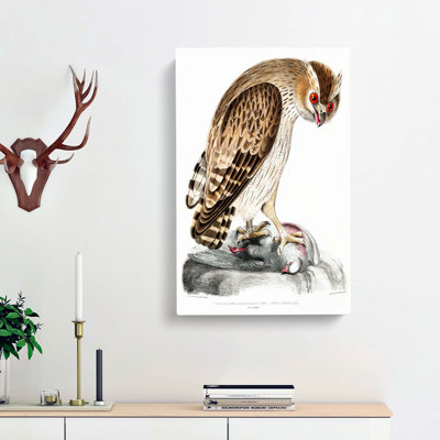 Horned Owl by John Edward Gray - Wrapped Canvas