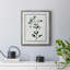Toile encadrée de qualité supérieure Shabby Elegance Botanical II - prête à être accrochée-1226880475-1226880468