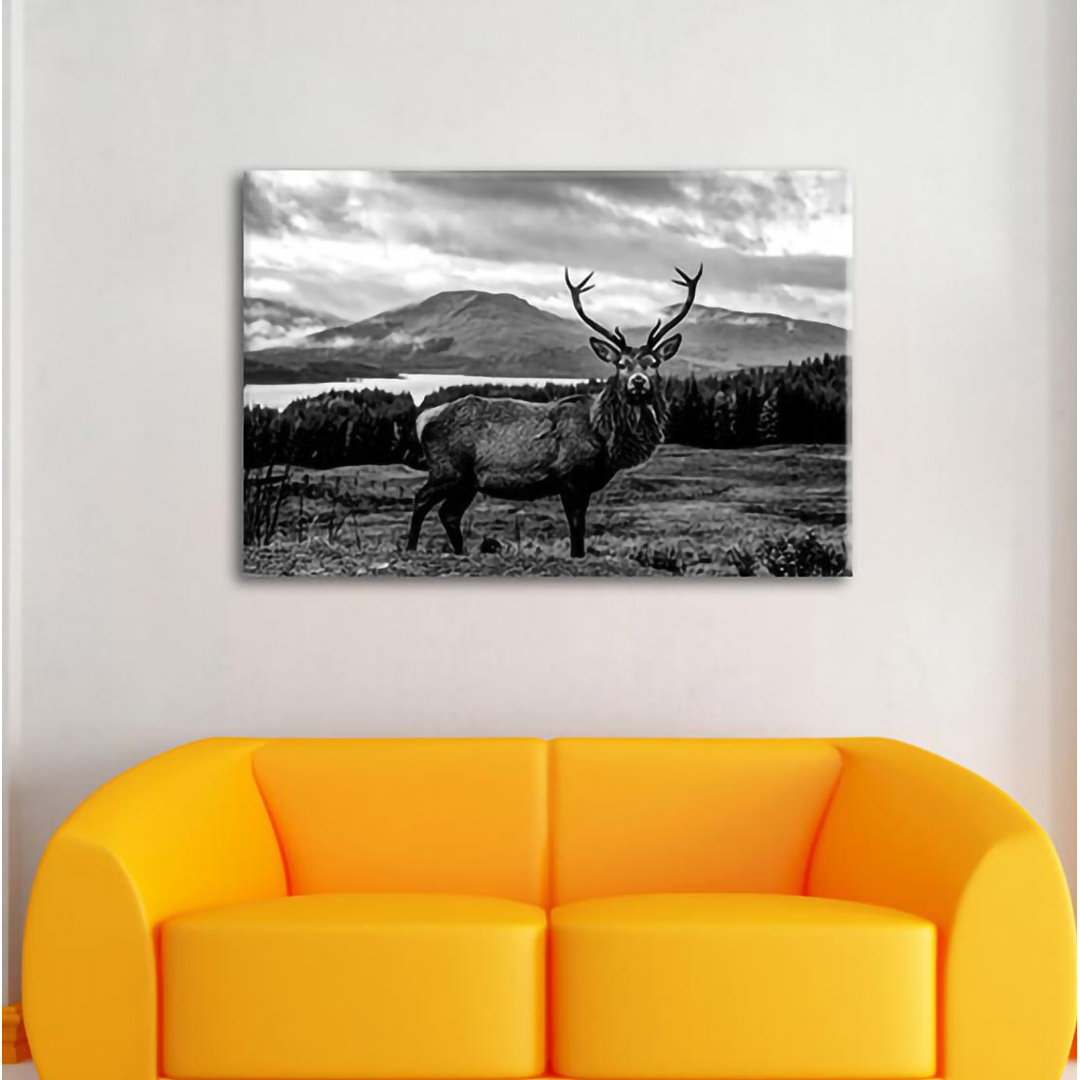 Leinwandbild Stag in Breathtaking Landscape