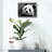 " Giant Panda " by SD Smart-1139885398