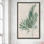 Palmier botanique IV - Peinture-677903362-677903367