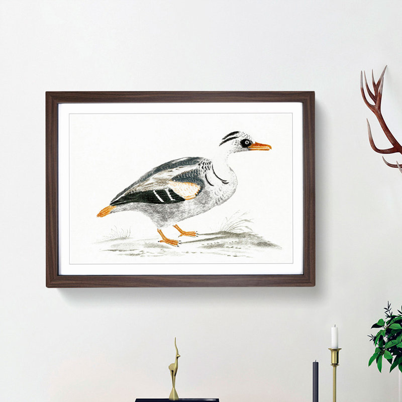 Portrait of a Duck by Johan Teyler - Picture Frame Painting Print, 27cm H x 36cm W x 2cm D, Walnut Framed