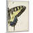 Cadre pour toile flottant blanc