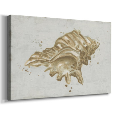 Neutral Shell Fresco III -Gallery Wrapped Cavas
