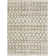 Southwestern Indoor Rug