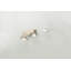 Perchoir pour chat 9 po -304715210-304715205