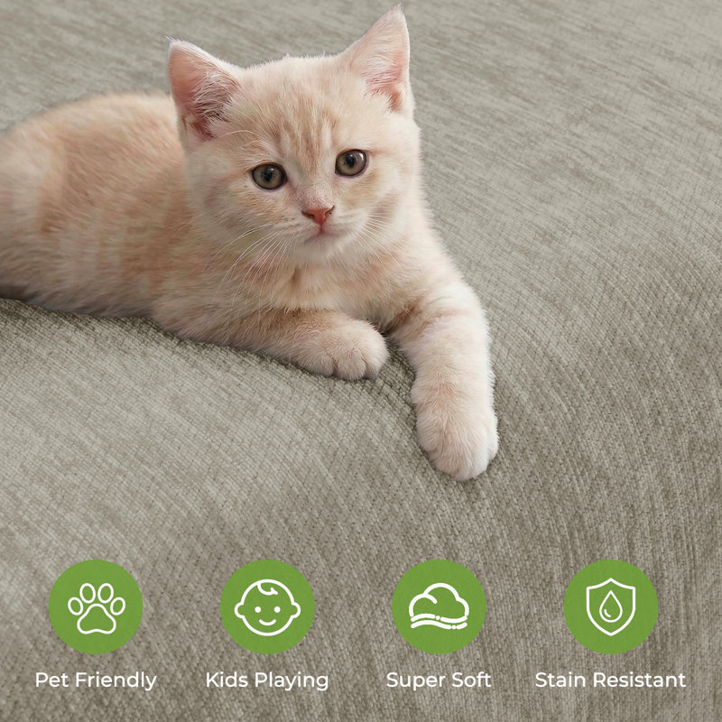 Housse de protection chenille anti-dérapante lavable pour les animaux de compagnie, Blanc, crème, 118" H x 71" W