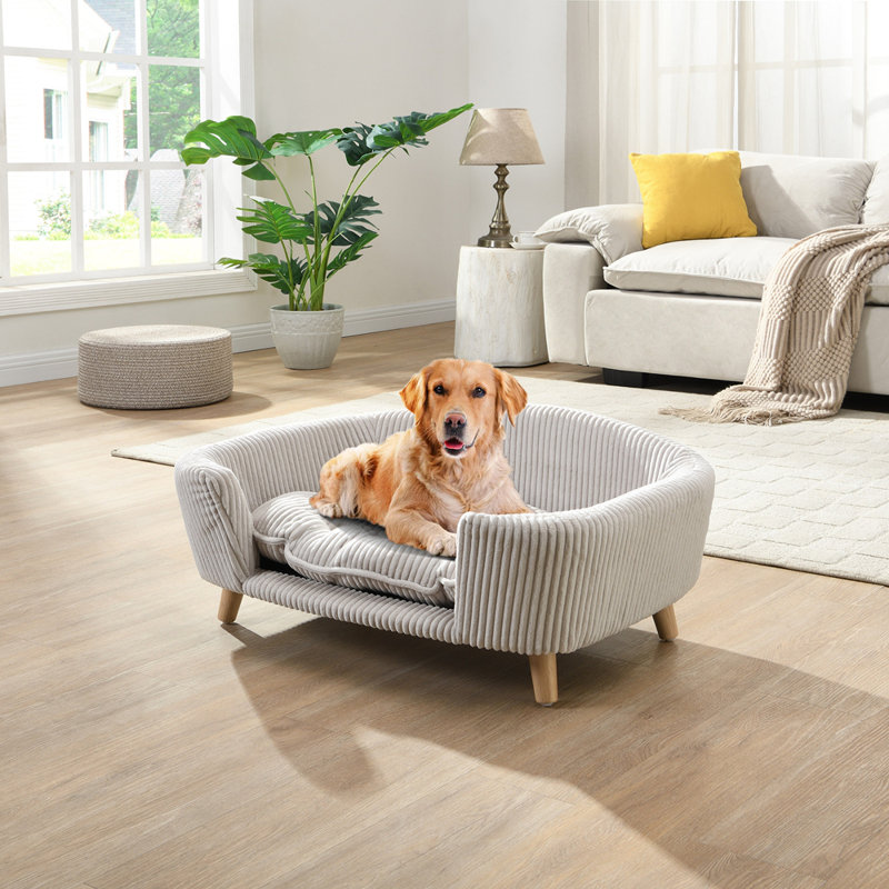 Cadre de lit pour chien surélevé pour petit chien, lit en velours côtelé avec pieds en bois d'hévéa et mousse de soutien