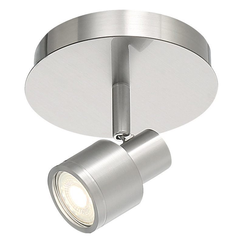Lincoln Track Head, Silver