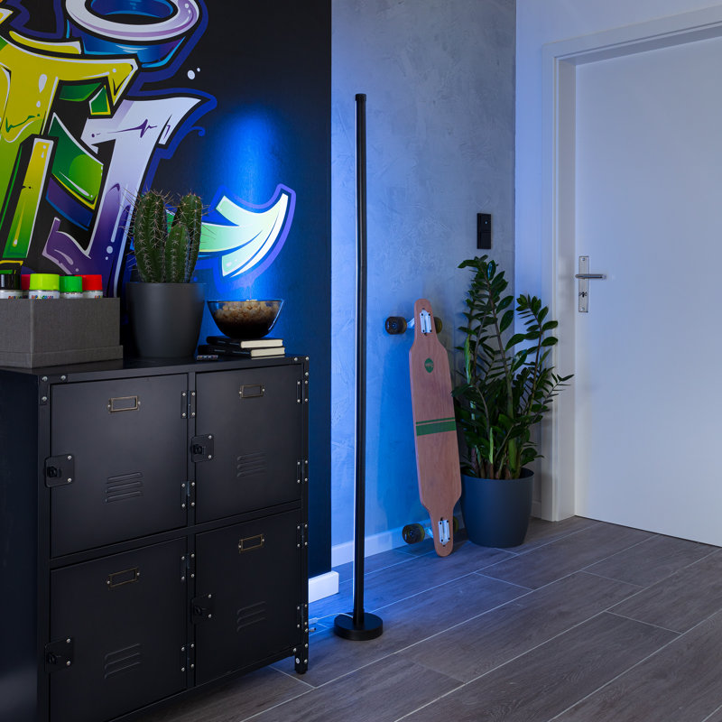 Casperson 150cm LED Novelty Floor Lamp