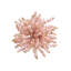 Brilliant Napkin Ring-57345255