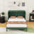 Murphy Bed with Multifunctional Storage and Elegant Design-1952297859-1959172605