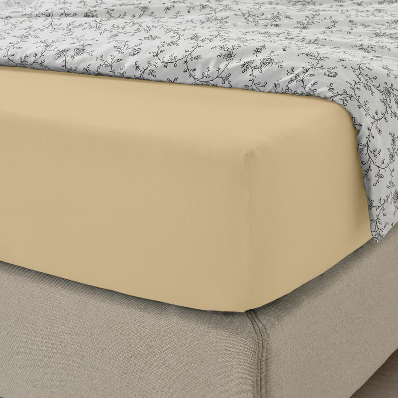 Cotton Blend Percale Fitted Sheet, Cream, Double (4'6)