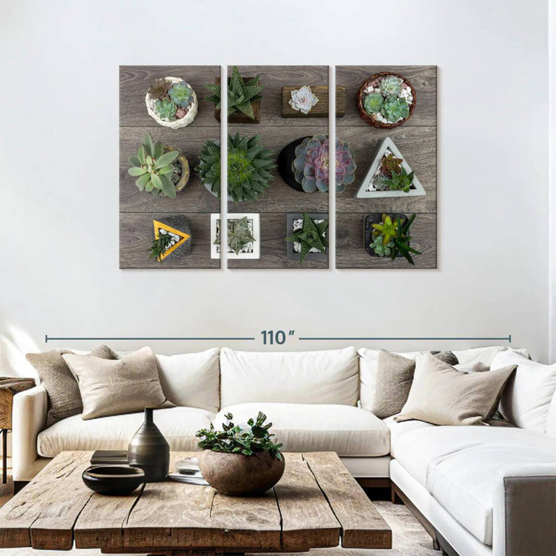 Harnek Assorted Succulents, 48" H x 74" W