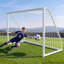 VEVOR Goal with Carrying Case-1195053091