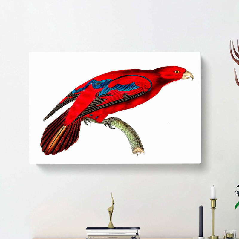 Blue-tipped Lory by George Shaw - Wrapped Canvas, 35cm H x 50cm W x 3cm D