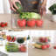 Food Storage Container