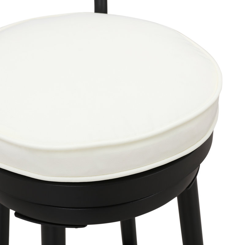 Evylin Patio Bar Stool with Cushion (2-Pack)