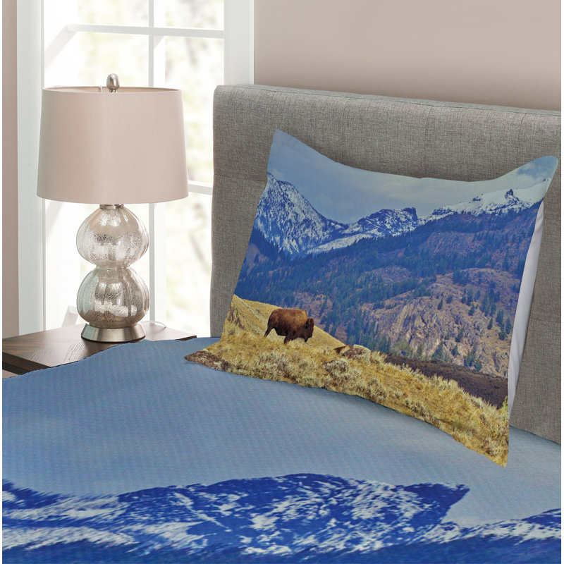 Micheal No Pattern Bedspread with Pillow Shams, 170 x 220 cm