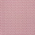 Fuschia
