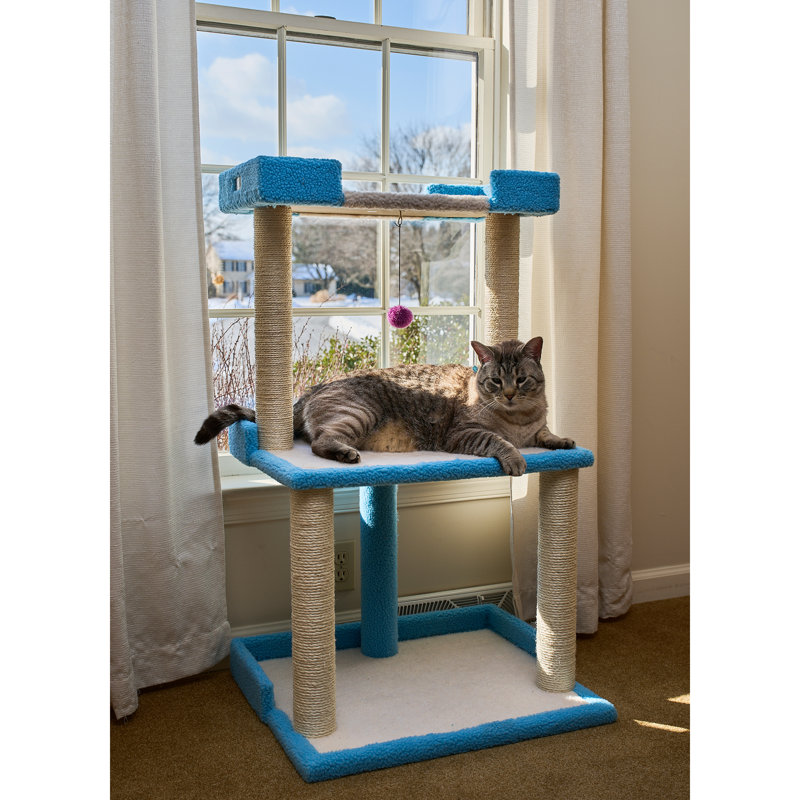 Arbre à chat Armarkat pour grands chats: tour en bois véritable de 41 po avec poteaux à griffer et perchoirs (B4109A), Bleu