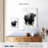 Brampt Bison Black And White-108244433