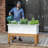 Arvester Resin Window Box Planter with Water Reservoir-486148946