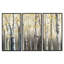 Birch Forest I - 3 pièces, reproduction sur toile-1455851173-1455851172