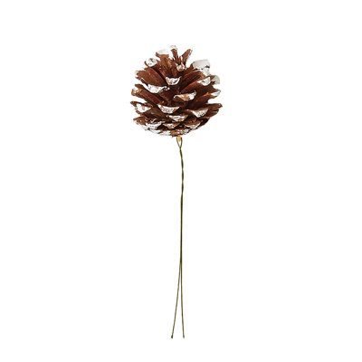 Pine Cone Pick