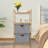 Canadiate 2 Drawer Storage Drawer