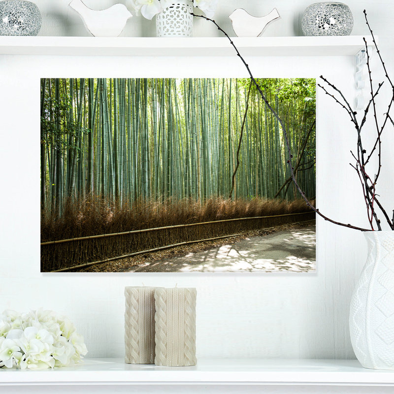 «Beautiful View of Bamboo Forest», reproduction de photo sur toile tendue, H 20 po x l 20 po x P 1 po, Cadre flottant noir