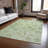 Machine Washable Indoor/Outdoor Xhevrie Aloe Rug-1061704841