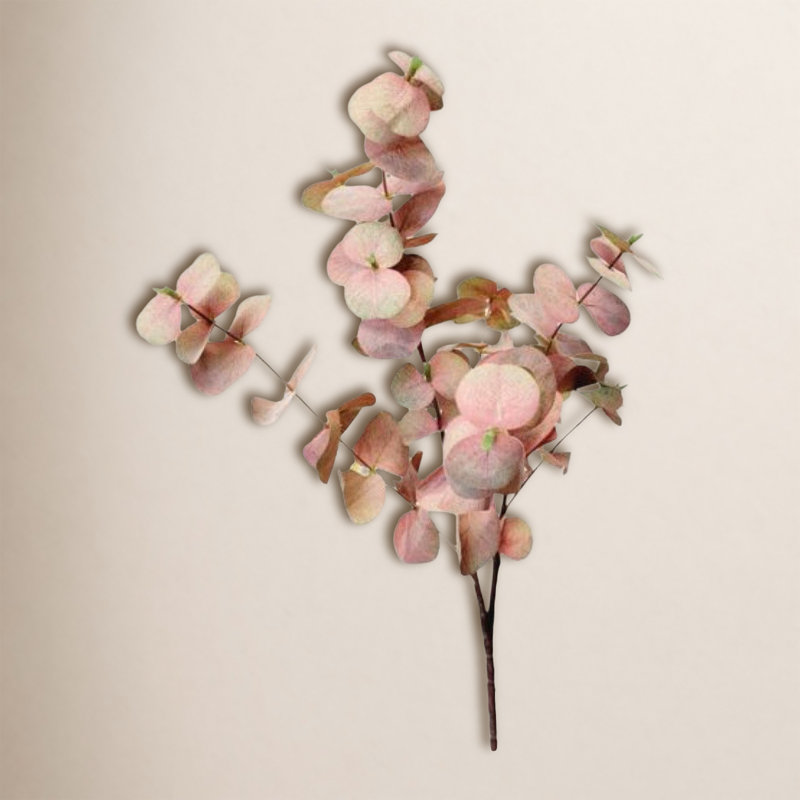 Velvet Eucalyptus Stems