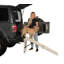Rampe pour animaux 23 po