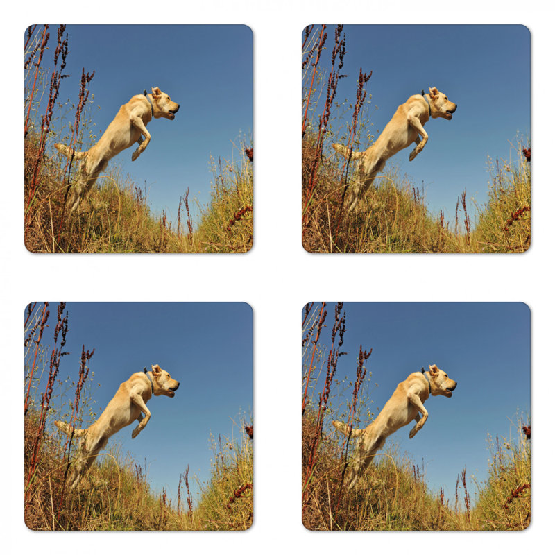 Square 4 Piece Coaster Set