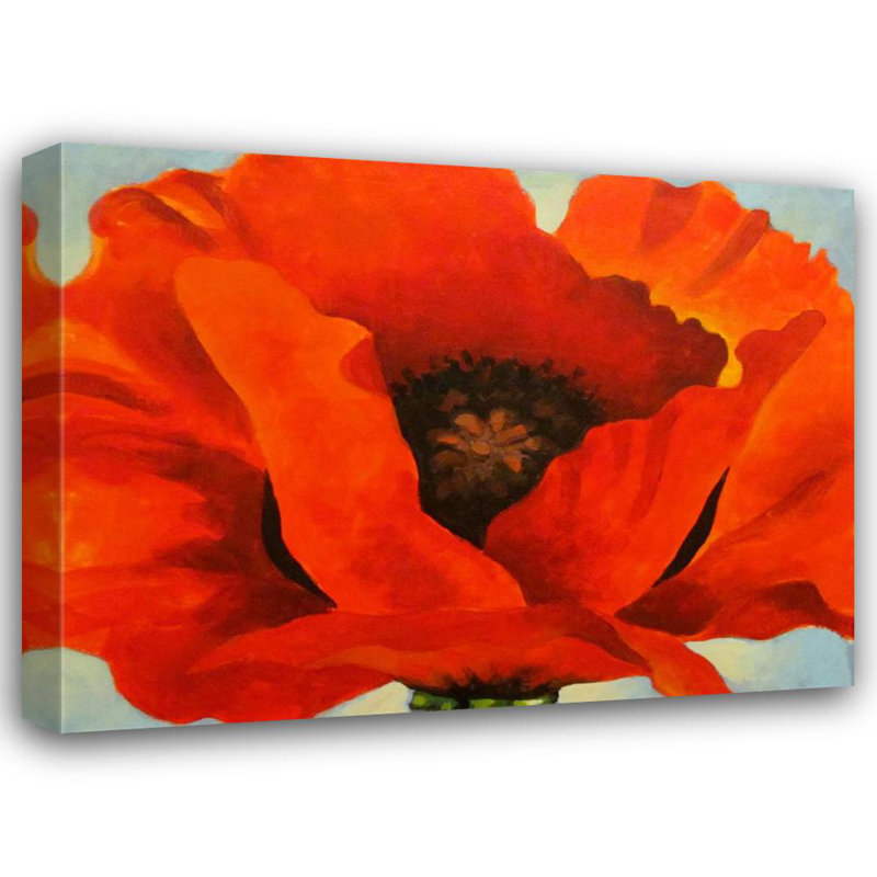 Coquelicot rouge