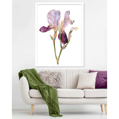 Iris No. 198 Print by Elizabeth Becker