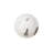Cast Naturals Root Ball Wall Décor