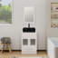 Ensemble de meuble-lavabo simple 24 "avec miroir