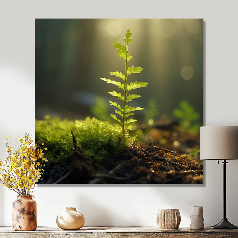 «Young Tree Forest Sunset - Leaves», art mural, Toile tendue, H 30 po x l 30 po x P 1 po