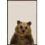 «Furry Bear», reproduction sur toile encadrée-28014387