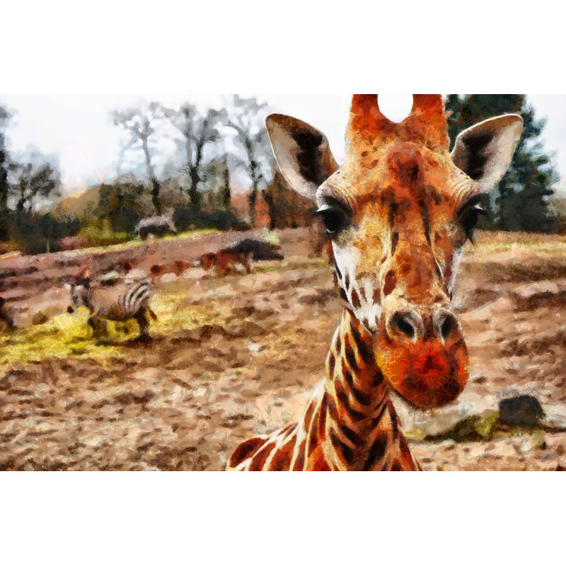 Painted Giraffe And Zebra - Wrapped Canvas Art Prints, 30cm H x 46cm W x 3.8cm D