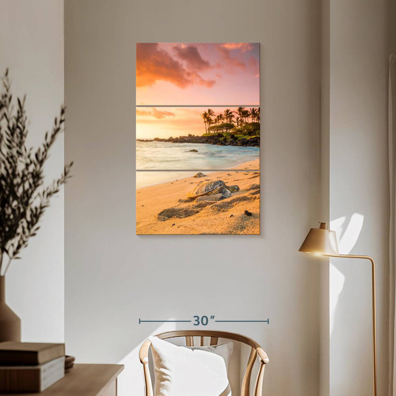 Tortue de plage Brampt Kukio, H 57 po x l 36 po