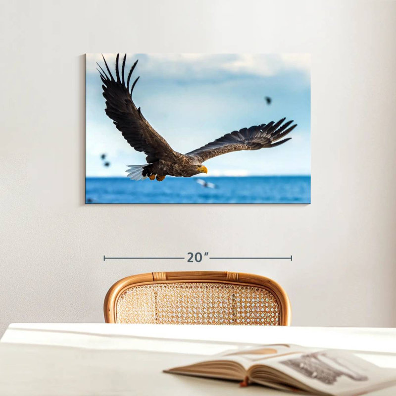 Eagle In Flight, 16" H x 24" W