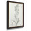 «Botanical Study in Sage III», peinture sur toile encadrée-464923092