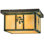 Hyde Park Sprig 2 - Light Outdoor Flush Mount