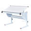 Alsea 3-In-1 Student Desk - Height Adjustable