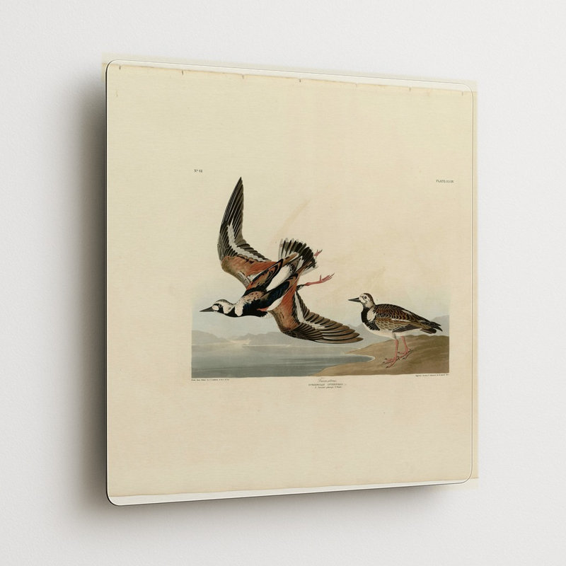 Tournepierre, planche 304 (1835) — Décoration murale carrée en métal, 16" H x 16" W