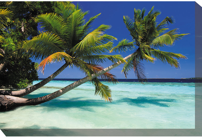 Grassmere Palms Duo Outdoor Canvas Art