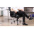 Inbox Zero Massiel Executive Chair